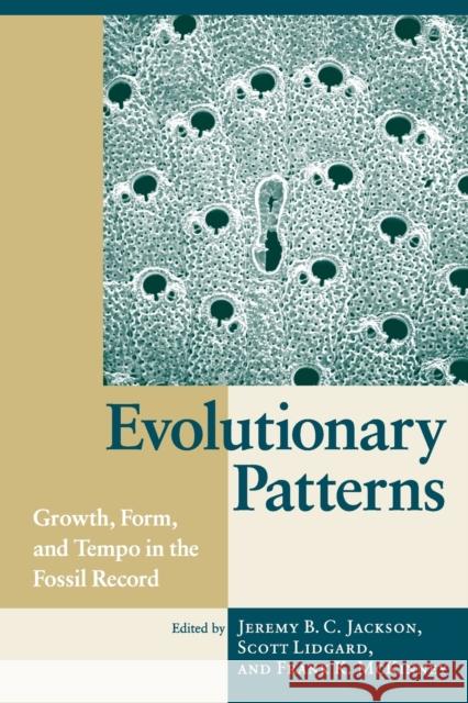 Evolutionary Patterns: Growth, Form, and Tempo in the Fossil Record Jeremy B. C. Jackson Scott Lidgard Frank K. McKinney 9780226389318 University of Chicago Press - książka