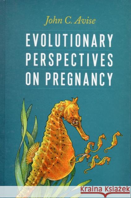 Evolutionary Perspectives on Pregnancy  Avise 9780231160605  - książka