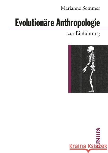 Evolutionäre Anthropologie zur Einführung Sommer, Marianne 9783885060918 Junius Verlag - książka