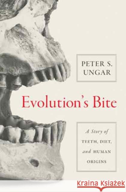 Evolution's Bite: A Story of Teeth, Diet, and Human Origins Peter Ungar 9780691160535 Princeton University Press - książka