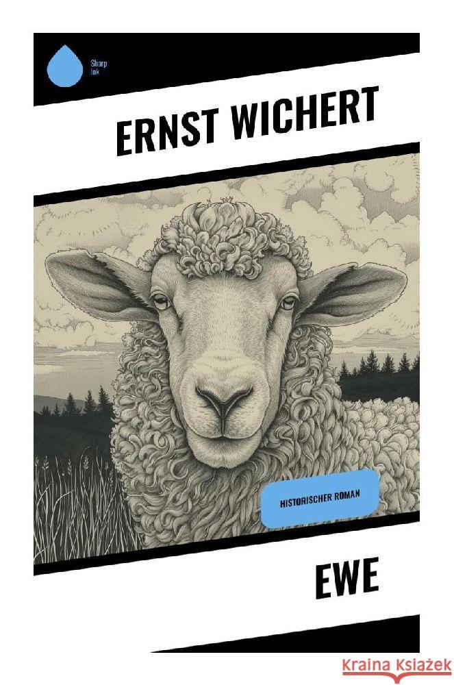 Ewe Wichert, Ernst 9788028347628 Sharp Ink - książka