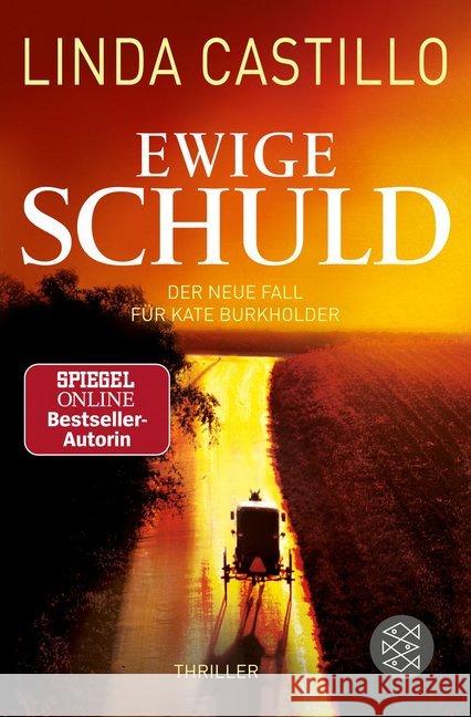 Ewige Schuld : Der neue Fall für Kate Burkholder. Thriller Castillo, Linda 9783596298020 FISCHER Taschenbuch - książka