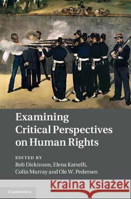 Examining Critical Perspectives on Human Rights Rob Dickinson 9781107006935  - książka