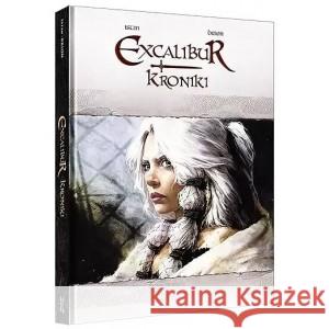 Excalibur Kroniki ISTIN JEAN-LUC, IL. BRION ALAIN 9788367270809 LOST IN TIME - książka