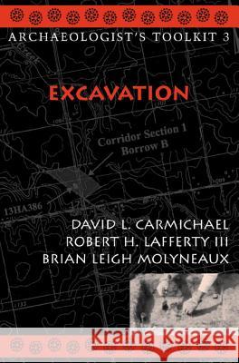 Excavation David L. Carmichael James M. Collins 9780759100190 Altamira Press - książka
