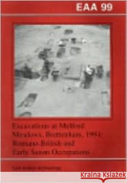 Excavations at Melford Meadows, Brettenham, 1994: Romano-British and Early Saxon Occupations Mudd, A. 9780904220247 David Brown Book Company - książka
