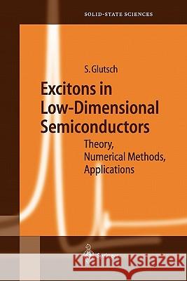 Excitons in Low-Dimensional Semiconductors: Theory Numerical Methods Applications Stephan Glutsch 9783642057816 Springer-Verlag Berlin and Heidelberg GmbH &  - książka