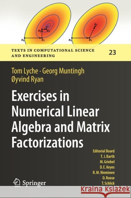 Exercises in Numerical Linear Algebra and Matrix Factorizations Tom Lyche Georg Muntingh  9783030597917 Springer - książka