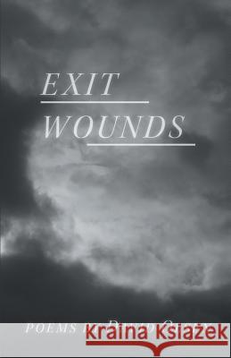 Exit Wounds David Olsen 9781635343618 Finishing Line Press - książka