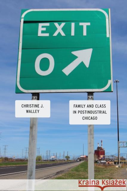 Exit Zero: Family and Class in Postindustrial Chicago Walley, Christine J. 9780226871806 University of Chicago Press - książka
