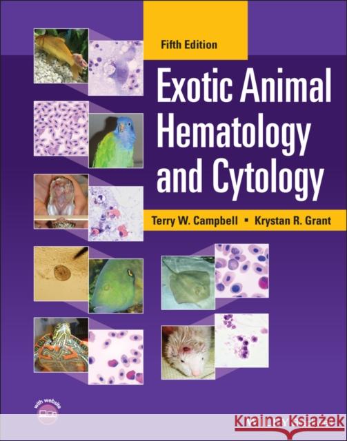 Exotic Animal Hematology and Cytology Krystan R. Grant Terry W. Campbell 9781119660231 Wiley-Blackwell - książka