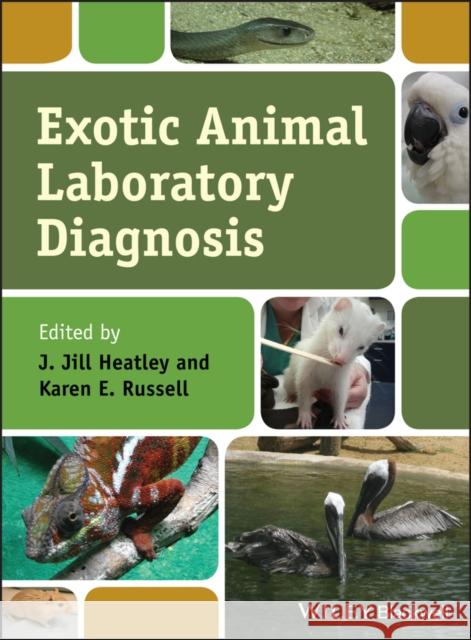 Exotic Animal Laboratory Diagnosis J. Jill Heatley Karen E. Russell 9780470960356 Wiley-Blackwell - książka