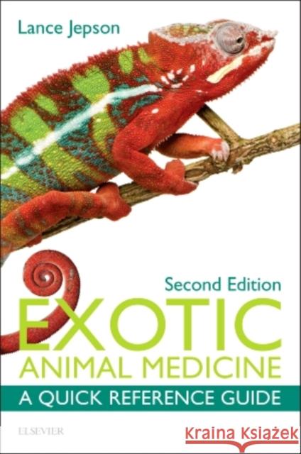 Exotic Animal Medicine: A Quick Reference Guide Jepson, Lance 9780323328494 Saunders - książka