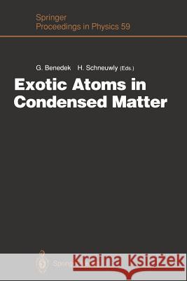 Exotic Atoms in Condensed Matter: Proceedings of the Erice Workshop at the Ettore Majorana Centre for Scientific Culture, Erice, Italy, May 19 - 25, 1 Benedek, Giorgio 9783642763724 Springer - książka