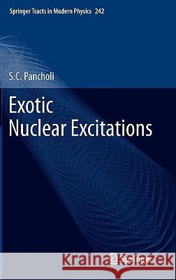 Exotic Nuclear Excitations S. C. Pancholi 9781441980373 Not Avail - książka