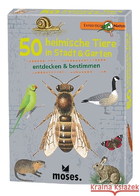 Expedition Natur 50 heimische Tiere in Stadt & Garten Kessel, Carola von 4033477097781 moses. Verlag - książka