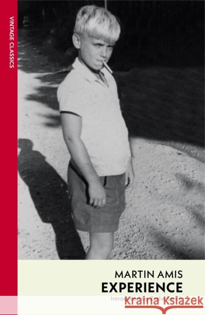 Experience Martin Amis 9781529952681 Random House - książka
