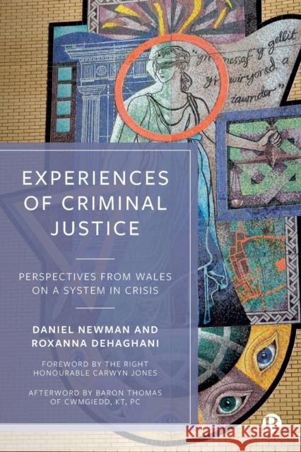 Experiences of Criminal Justice: Perspectives from Wales on a System in Crisis Daniel Newman Roxanna Dehaghani 9781529214239 Bristol University Press - książka