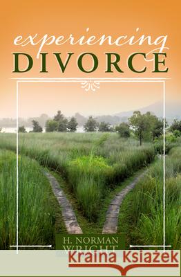 Experiencing Divorce H. Norman Wright 9781433650253 B&H Publishing Group - książka