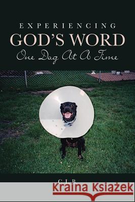 Experiencing God's Word One Dog At A Time C L B 9781641911788 Christian Faith - książka