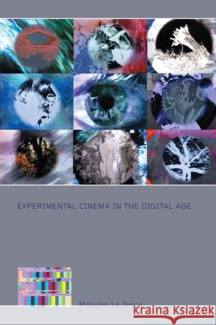 Experimental Cinema in the Digital Age Malcolm Le Grice 9780851708737  - książka