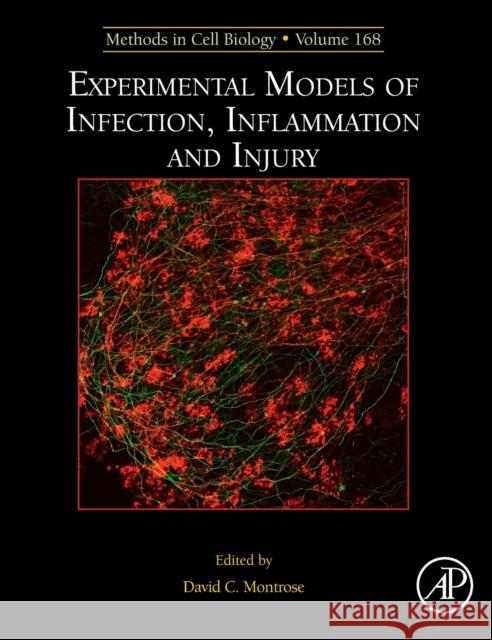 Experimental Models of Infection, Inflammation and Injury: Volume 168 Montrose, David 9780323899451 Academic Press - książka