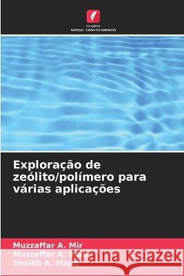 Exploração de zeólito/polímero para várias aplicações Mir, Muzzaffar A. 9786205296110 Edicoes Nosso Conhecimento - książka