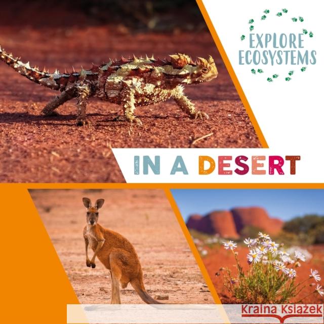 Explore Ecosystems: In a Desert Sarah Ridley 9781526322500 Hachette Children's Group - książka