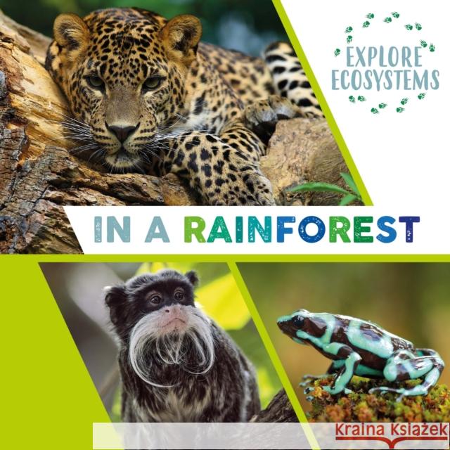 Explore Ecosystems: In a Rainforest Sarah Ridley 9781526322517 Hachette Children's Group - książka