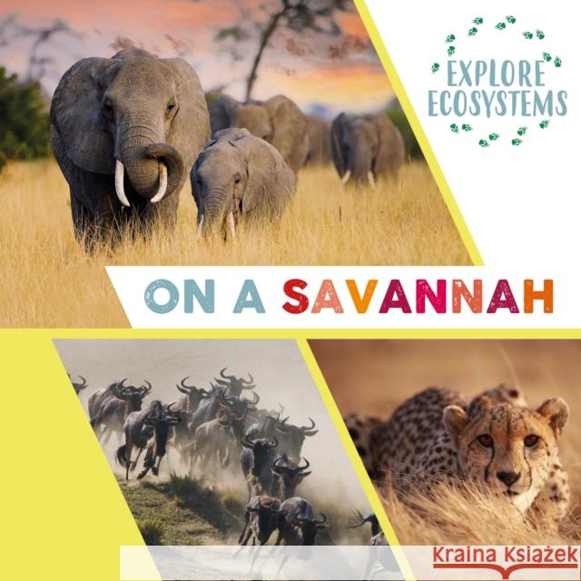 Explore Ecosystems: On a Savannah Sarah Ridley 9781526322531 Hachette Children's Group - książka