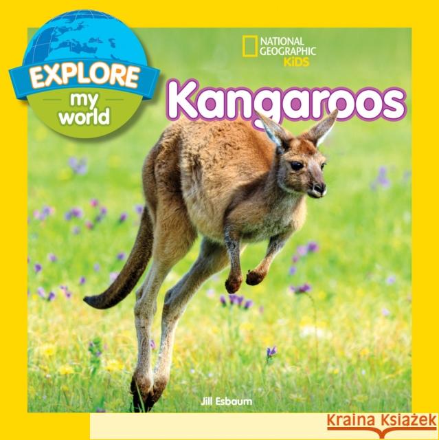 Explore My World: Kangaroos Jill Esbaum 9781426331572 National Geographic Society - książka