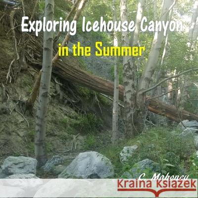 Exploring Icehouse Canyon in the Summer C. Mahoney 9781548828462 Createspace Independent Publishing Platform - książka