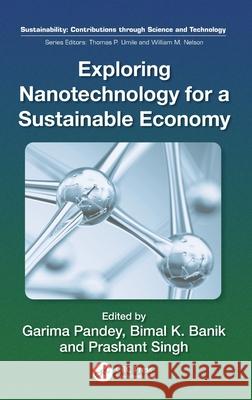 Exploring Nanotechnology for a Sustainable Economy Garima Pandey Bimal Krishna Banik Prashant Singh 9781041053736 CRC Press - książka