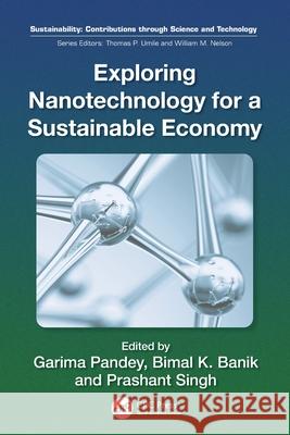 Exploring Nanotechnology for a Sustainable Economy Garima Pandey Bimal Krishna Banik Prashant Singh 9781041053798 CRC Press - książka