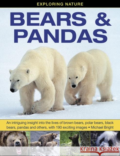 Exploring Nature: Bears & Pandas: An Intriguing Insight into the Lives of Brown Bears, Polar Bears, Black Bears, Pandas and Others, with 190 Exciting Images Michael Bright 9781861473899 Anness Publishing - książka