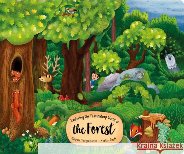 Exploring the Fascinating World of the Forest Magda Garulakova 9781641243445 Fox Chapel Publishing - książka