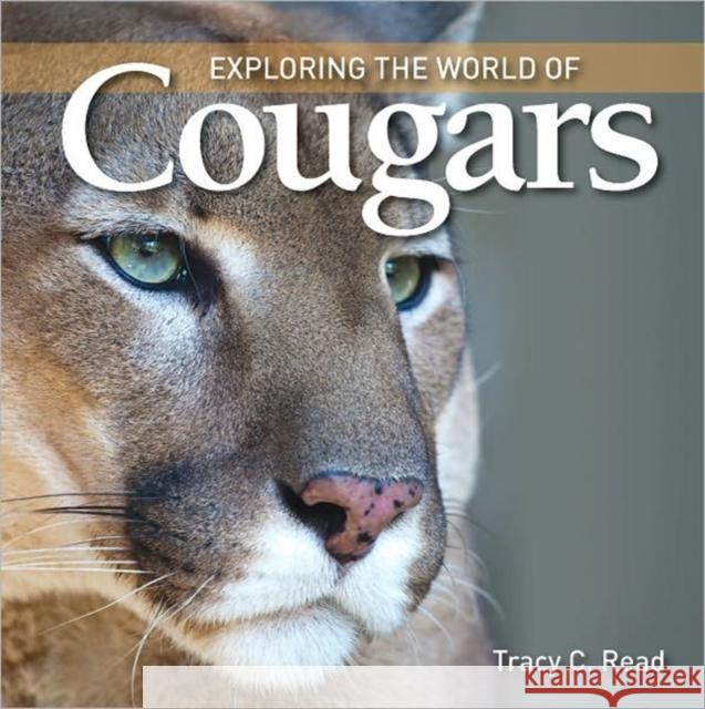 Exploring the World of Cougars Tracy C. Read 9781554077854 Firefly Books - książka