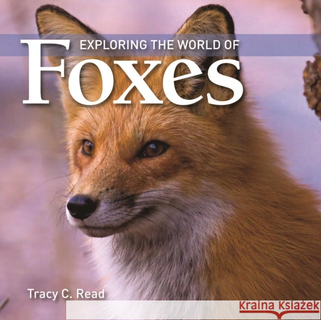 Exploring the World of Foxes Tracy C. Read 9781554076161 Firefly Books - książka