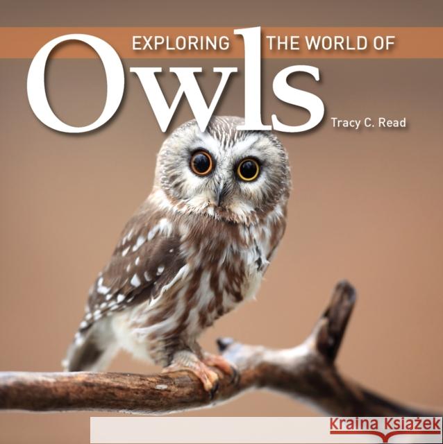 Exploring the World of Owls Tracey Read 9781554079575  - książka