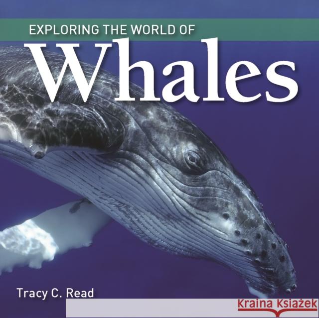 Exploring the World of Whales Tracy Read 9781770859494 Firefly Books - książka