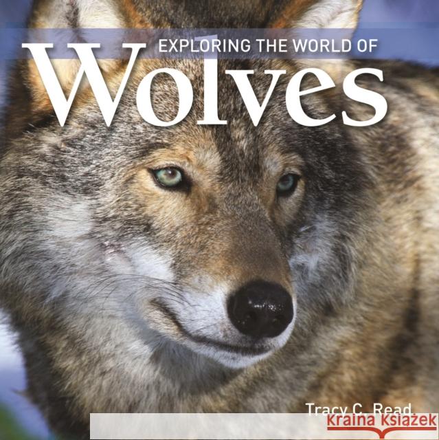 Exploring the World of Wolves Tracy C. Read 9781554076550 Firefly Books - książka