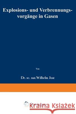 Explosions- Und Verbrennungsvorgänge in Gasen Jost, Wilhelm 9783642503429 Springer - książka