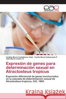 Expresión de genes para determinación sexual en Atractosteus tropicus Castellanos Vidal, Cynthia María 9783659045561 Editorial Academica Espanola - książka