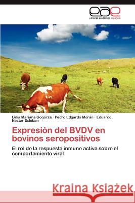 Expresión del BVDV en bovinos seropositivos Gogorza Lidia Mariana 9783846574423 Editorial Acad Mica Espa Ola - książka