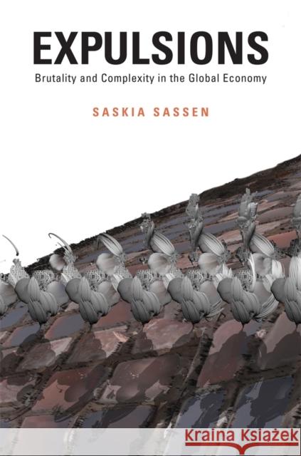 Expulsions: Brutality and Complexity in the Global Economy Sassen, Saskia 9780674599222 Harvard University Press - książka