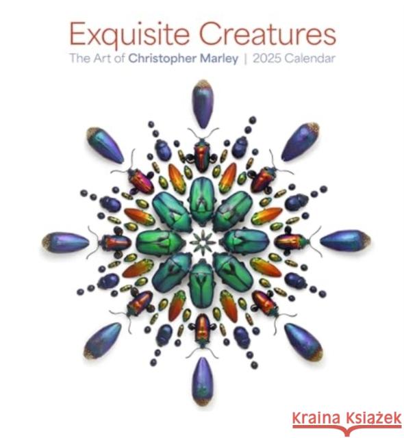 Exquisite Creatures: The Art of Christopher Marley 2025 Wall Calendar Christopher Marley 9781087509235 Pomegranate - książka