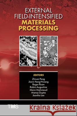 External Field-Intensified Materials Processing Zhiwei Peng Jiann-Yang Hwang Roger Ruan 9783032137630 Springer - książka