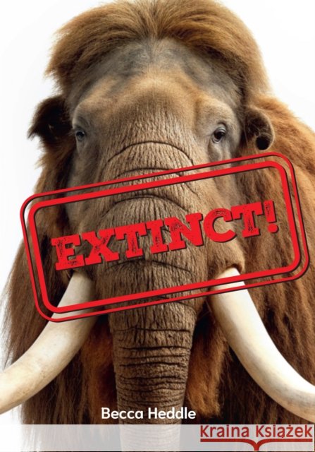Extinct!: Fluency 2 Becca Heddle 9780008746339 HarperCollins Publishers - książka