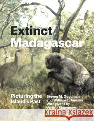 Extinct Madagascar: Picturing the Island's Past Steven M. Goodman William L. Jungers Velizar Simeonovski 9780226143972 University of Chicago Press - książka