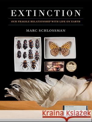 Extinction M Schlossman 9781781454534 Ammonite Press - książka